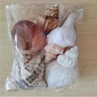 2PCS Conch Shell Large Natural Seashells For Fish Tank Wedding Decor Beach Theme