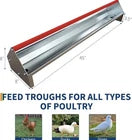 Chicken Feeding Trough 45" Heavy Duty Galvanized Steel Feeder W/ Drainage Holes